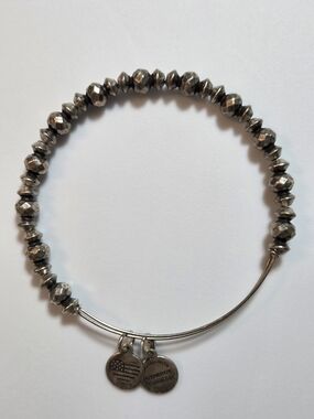 Alex and Ani Canyon Bracelet in Rafaelian Silver Expandable